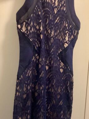 Xenia Boutique Navy and Nude Lace Dress